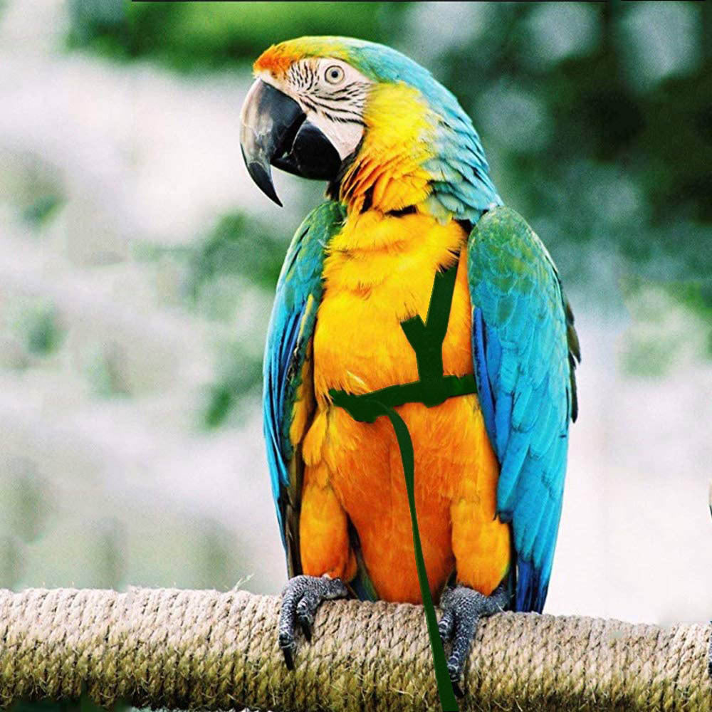 d05d11fe1f03becd81622ceb4c741213